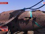 Подъем фрагмента штурмовика времен Великой Отечественной войны Ил-2 в Крыму Подъем фрагмента штурмовика времен Великой Отечественной войны Ил-2 в Крыму