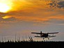 Самолет Ан-2 Самолет Ан-2