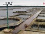 Рыбная ферма Рыбная ферма