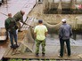 11Форелевая ферма на озере Суходольское наращивает производство 11Форелевая ферма на озере Суходольское наращивает производство