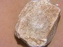 Археологические раскопки на территории Кремля Археологические раскопки на территории Кремля