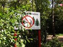 Плакат с запретом свалки мусора в лесу Плакат с запретом свалки мусора в лесу