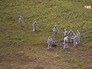 Специалисты в костюмах биозащиты на месте заражения Специалисты в костюмах биозащиты на месте заражения