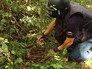 Сапер МЧС во время разминирования минометных снарядов Сапер МЧС во время разминирования минометных снарядов