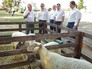 Председатель правительства России Дмитрий Медведев во время посещения крестьянско-фермерского хозяйства Председатель правительства России Дмитрий Медведев во время посещения крестьянско-фермерского хозяйства