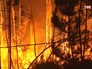 Лесные пожары Лесные пожары