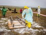 Специалисты в костюмах биозащиты работают с населением на месте заражения Специалисты в костюмах биозащиты работают с населением на месте заражения