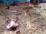 Последствия авиаудара в Йемене Последствия авиаудара в Йемене