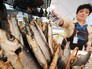 Ярмарка фермерских продуктов Ярмарка фермерских продуктов