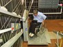 Механические пандусы для инвалидов Механические пандусы для инвалидов