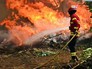 Лесные пожары в Португалии Лесные пожары в Португалии