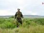 Поиски пауков-тарантулов Поиски пауков-тарантулов