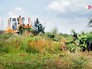 Уничтожение конопли Уничтожение конопли
