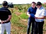 Уничтожение конопли Уничтожение конопли