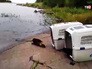 Выпущенная нерпа вернулась к людям Выпущенная нерпа вернулась к людям