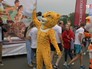 Участники благотворительного забега в защиту амурского тигра Участники благотворительного забега в защиту амурского тигра