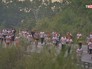 Участники благотворительного забега в защиту амурского тигра Участники благотворительного забега в защиту амурского тигра