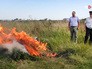 Уничтожение конопли сотрудниками полиции Уничтожение конопли сотрудниками полиции