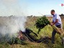 Уничтожение конопли сотрудниками полиции Уничтожение конопли сотрудниками полиции