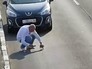Водитель спасает котенка на трассе в Калининграде Водитель спасает котенка на трассе в Калининграде