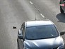 Котенок оживленной трассе Котенок оживленной трассе