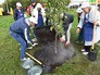 На субботнике в музее-заповеднике "Коломенское", приуроченном к 80-летию бывшего мэра Москвы Юрия Лужкова На субботнике в музее-заповеднике "Коломенское", приуроченном к 80-летию бывшего мэра Москвы Юрия Лужкова