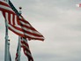 Флаги США Флаги США