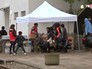 Референдум в Венгрии Референдум в Венгрии