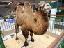 Агропромышленная выставка Агропромышленная выставка