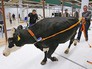 Агропромышленная выставка Агропромышленная выставка