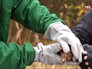 Сотрудники Центра реабилитации Департамента природопользования Москвы выпускают животных Сотрудники Центра реабилитации Департамента природопользования Москвы выпускают животных