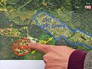 Соседство дачного поселка с домом для бездомных "Ной" Соседство дачного поселка с домом для бездомных "Ной"
