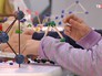 Всероссийский фестиваль науки Всероссийский фестиваль науки