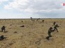 Российско-египетские учения десантников Российско-египетские учения десантников
