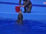 Приморский океанариум Приморский океанариум