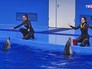 Приморский океанариум Приморский океанариум