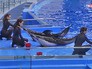 Приморский океанариум Приморский океанариум