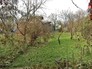 Старый дачный участок Старый дачный участок