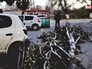 Упавшее дерево Упавшее дерево