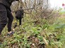 Место убийства подростка на дачном участке Место убийства подростка на дачном участке