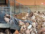 Последствия землетрясения Последствия землетрясения