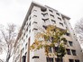 Надстроенный дом после реконструкции Надстроенный дом после реконструкции