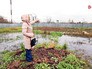 Затопленный дачный участок Затопленный дачный участок