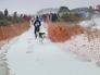Чемпионат по ездовому спорту на собаках Чемпионат по ездовому спорту на собаках
