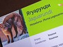 Ягуарунди в зоопарке Ягуарунди в зоопарке