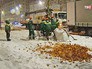 Высадка деревьев на Садовом кольце Высадка деревьев на Садовом кольце