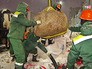 Высадка деревьев на Садовом кольце Высадка деревьев на Садовом кольце