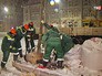 Высадка деревьев на Садовом кольце Высадка деревьев на Садовом кольце