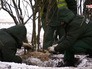 Высадка деревьев на территории "Лужников" Высадка деревьев на территории "Лужников"