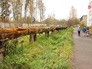 Трубы теплотрассы Трубы теплотрассы